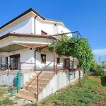 Dani Studio 3
